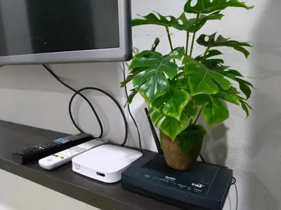 a plant sitting on a desk next to a computer monitor at Nadrah Cottage in Bayan Lepas