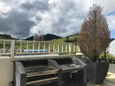 a outdoor kitchen with a sink and a tree at Vin-Cottage Cameron Golden Hills (Next to Night Market) in Cameron Highlands