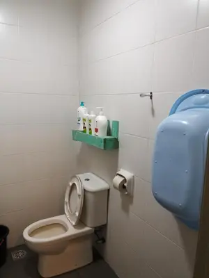 a bathroom with a toilet and a toilet paper dispenser at Blue Romance Mermaid Cameron Stay 9 pax Next to Night Market in Cameron Highlands