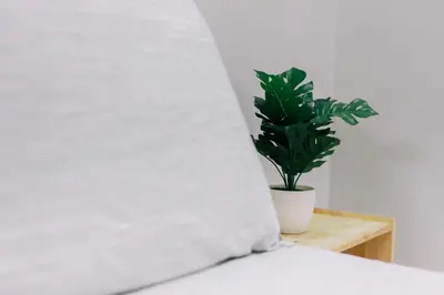 a bed with a pillow and a plant on a table at TheDaun Homestay Seri Iskandar, Perak in Seri Iskandar