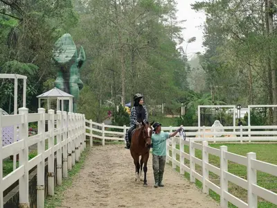 a man walking a horse with a person on it at Wyndham Garden Shahzan Fraser's Hill in Bukit Fraser