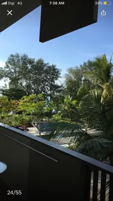 a balcony with a view of a palm tree at By the sea Beach BABY in Batu Ferringhi