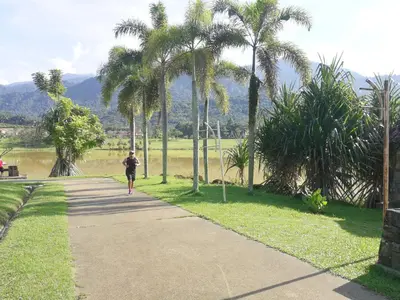a person walking down a sidewalk next to palm trees at A1-04-03 Damiana Apartment in Tanjung Malim