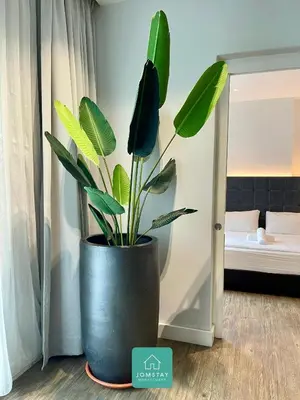 a black pot with a plant in a room at JOMSTAY Octagon Palm Suites Ipoh in Ipoh