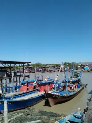 three boats are docked at a dock in the water at COCONUT HOMESTAY Tanjong Karang Sekinchan Kuala Selangor in Kampong Sungai Kajang