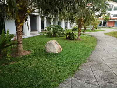 a rock sitting in the grass next to a sidewalk at Fun Studio Pangkor in Pangkor