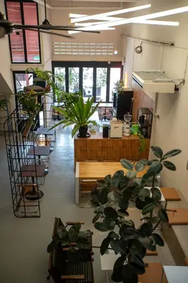 a room filled with lots of potted plants at The Brownstone Hostel & Space in Ipoh