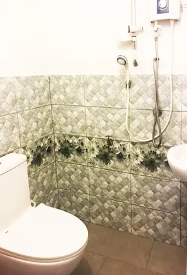 a bathroom with a toilet and a shower at Rumah Tamu Azizah in Kampong Tanjong Bayan