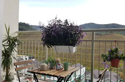a doll sitting on a table on a balcony with a plant at Penthouse - Secret Garden de Cameron, Night Market in Tanah Rata