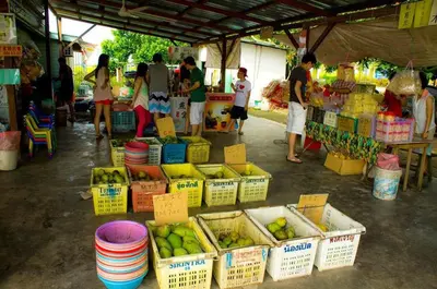 a group of people standing around a market with fruit at One Residence Sekinchan \u9002\u8015\u5e84\u65e0\u654c\u6d77\u666f in Sekincan