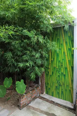 a green fence with a tree in front of it at The Happy 8 Retreat in Ipoh