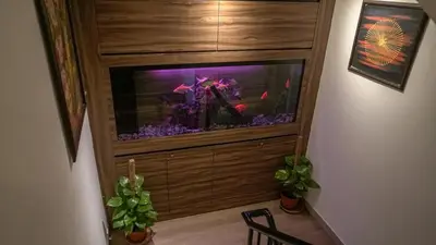 a living room with a fish tank in a wall at Highlanders Hotel in Cameron Highlands