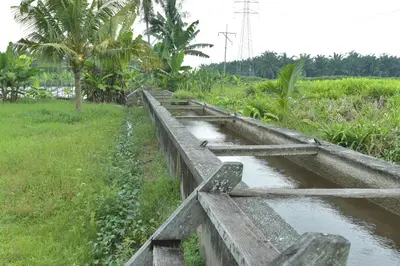 a wooden bridge over a body of water at AsiaCamp - Chalet Sungai Sireh in Tanjung Karang