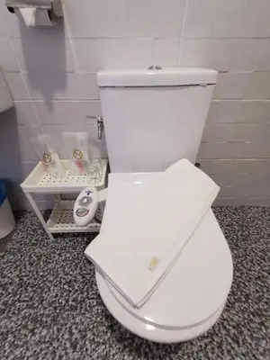 a white toilet with its lid down in a bathroom at TT Dorf Hotel Matang in Taiping