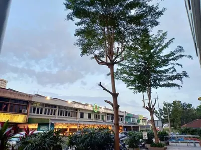 two trees in front of a building at Comfort Zone @ The CEO Loft by Joal in George Town