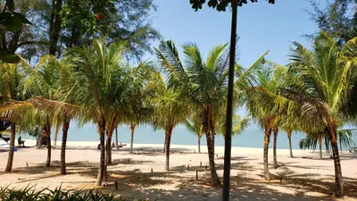 a group of palm trees on a beach at By The Sea Beach Luxury Resort - Batu Ferringhi in Batu Ferringhi