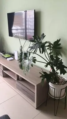 a living room with a tv and a potted plant at My Homestay S1311 - Golden Hills Night Market in Cameron Highlands