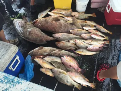 a bunch of fish are cooking on a grill at 2sty Villa - Walking Distance To The Beach in Pangkor