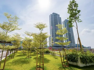 a park with trees and buildings in the background at The Landmark Condo, by Sanguine in George Town