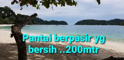 a beach with a tree and the wordsparietal bengalis breath at Teratak Nipah Homestay Teluk Nipah Pangkor in Pangkor