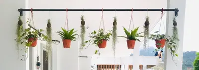 a bunch of potted plants hanging from a wall at Comfy Sofy 21- Backyard Garden- Night Market area in Cameron Highlands