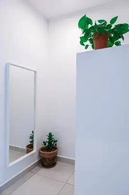 a mirror and potted plants on a white wall at Comfy Sofy 21- Backyard Garden- Night Market area in Cameron Highlands