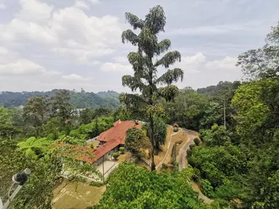 a house in the jungle with a tree at Little England B8 in Bukit Fraser