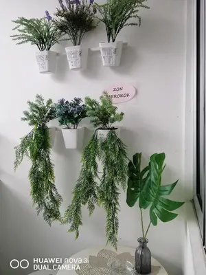 a bunch of potted plants hanging on a wall at Alyaleesya Muslim Homestay in Tanah Rata