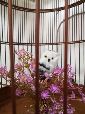 a white cat in a cage with purple flowers at Hua Tang Homestay in Ipoh