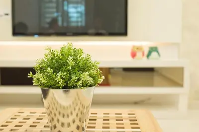 a plant in a vase sitting on a table at Landed Cozy House Near SPICE, Airport in Kampong Manggis