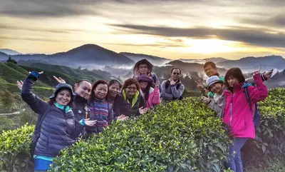 a group of people standing on top of a tea plantation at A3A Oastel CoLiving in Tanah Rata