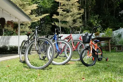 a group of bikes parked in the grass at Tung's Factoria Cameron Highland in Cameron Highlands