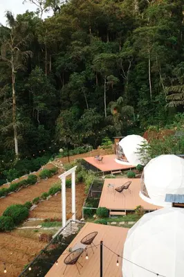 an outdoor area with chairs and a wooden deck at A'moss Farmstay in Cameron Highlands