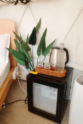 a table with a plant on top of a tv at A'moss Farmstay in Cameron Highlands