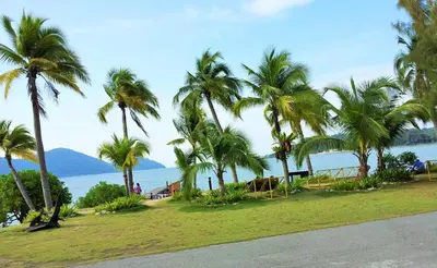 a group of palm trees on a beach with the ocean at Dindings Pantai Desair Apartment By DPD in Lumut