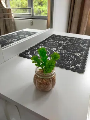 a plant in a jar on a kitchen counter at 80'S PARADISE in Tanah Rata