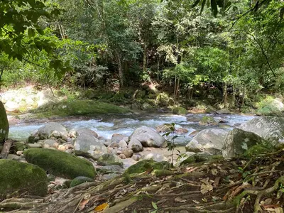 a stream of water with rocks and trees at Rustic Chalet - Dahlia n Mawar at Sedim Vista in Kampong Ulu Sedim