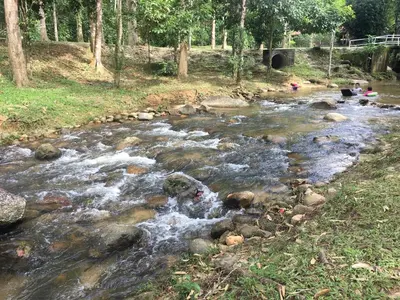 a stream of water with rocks and people sitting on the grass at Rustic Chalet - Dahlia n Mawar at Sedim Vista in Kampong Ulu Sedim