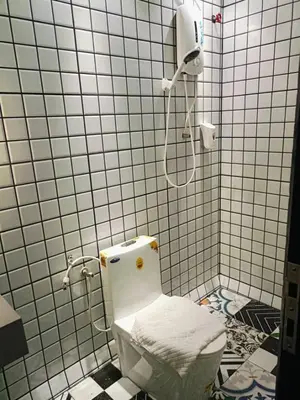 a bathroom with a white toilet and a shower at CJ HOUSE station 18 Ipoh in Ipoh