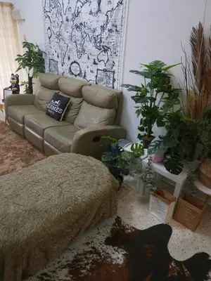 a living room with a couch and potted plants at little heritage home in George Town