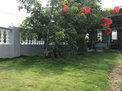a tree with red flowers on it in a yard at CoZy and comfortable Homestay in sungai siput in Sungai Siput