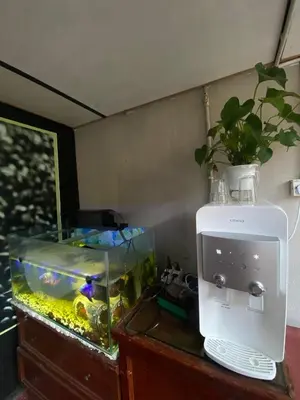 a fish tank sitting on a table next to a sewing machine at INTAN CHALEt in Pangkor