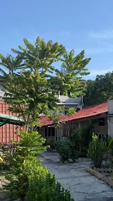 a building with a tree in front of a courtyard at INTAN CHALEt in Pangkor