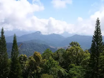 a view of trees and mountains in the distance at The Hill at Fraser Hill in Bukit Fraser