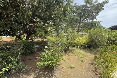 a garden with trees and plants on the ground at Inapan Taman Herba in Kepala Batas
