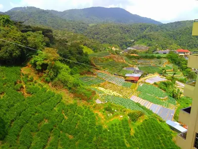 an aerial view of a farm with mountains in the background at 3 Rooms Apt @ Crown Imperial Court in Cameron Highlands