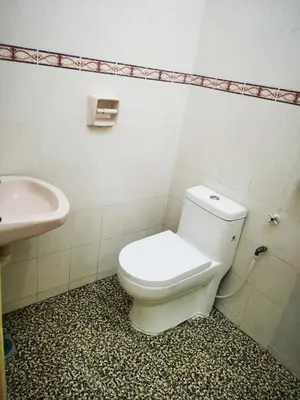 a bathroom with a white toilet and a sink at Bidor Totoro and One piece animation house in Kampong Kuala Gepal