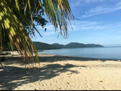 a view of a beach with a palm tree at VIP Suite Seaview Batu Ferringhi 1003-2 Bedroom in Batu Ferringhi