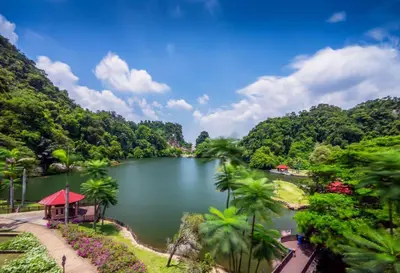 a lake in the middle of a forest with palm trees at URBANSTAY AT IPOH (STANDARD ROOM) in Ipoh