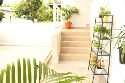 a stairwell with potted plants in a house at NEW SEAVIEW Cozy Modern Beach House in Tanjung Bungah